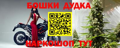 гидра Славянск-на-Кубани