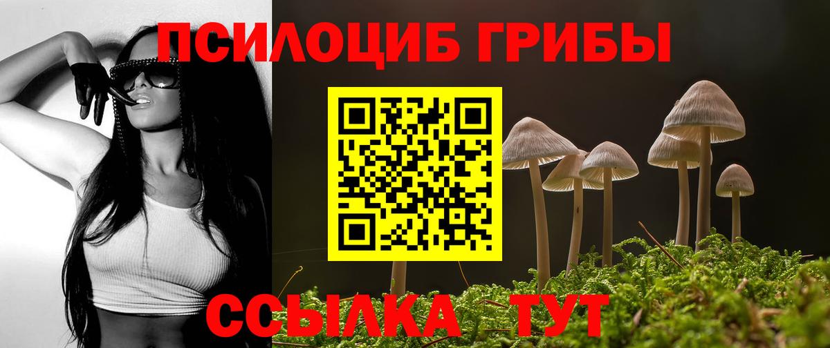 Псилоцибиновые грибы Cubensis  Вход с VPN  Орск 